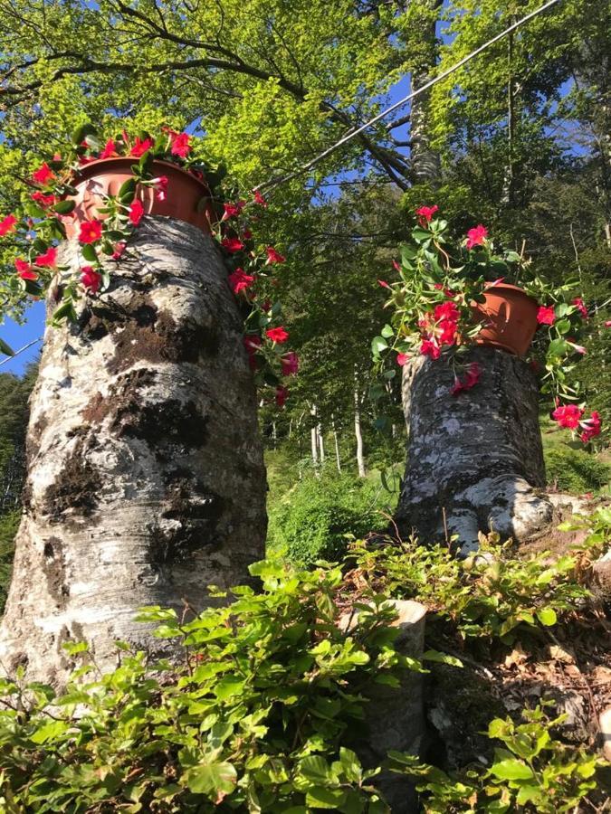 Agriturismo La Rosa Spina Fivizzano Εξωτερικό φωτογραφία